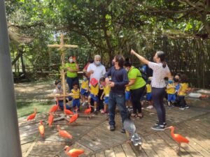 Read more about the article Viveiro das Aningas ganha novo atrativo para visitantes do Mangal das Garças